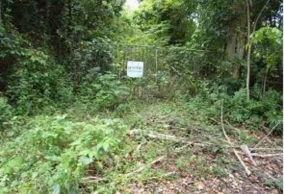 Farm located Rio Abajo Ward,   Vega Baja