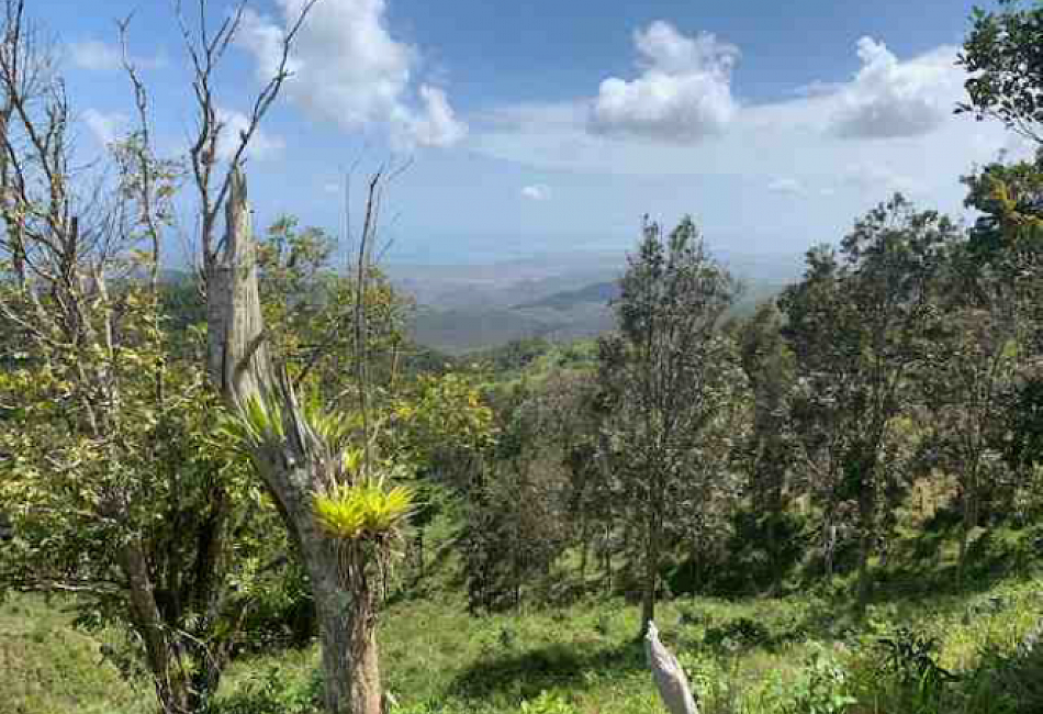 Parcel Land 
