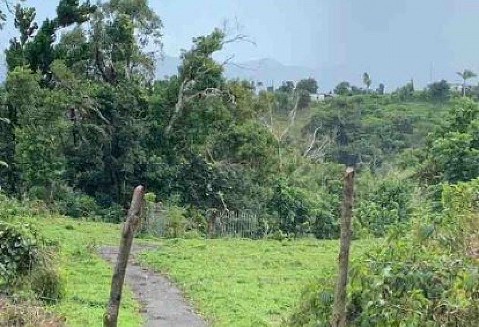 Parcel of Land,  Tejas Ward, Yabucoa 